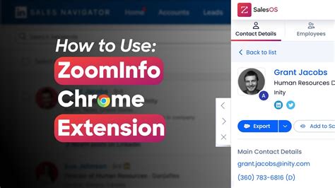 zoominfo download